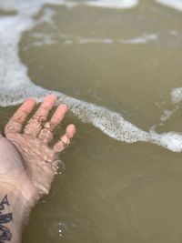 Cropped hand in sea at beach