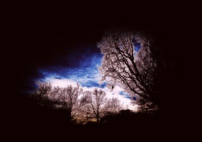 Low angle view of silhouette trees against sky at night