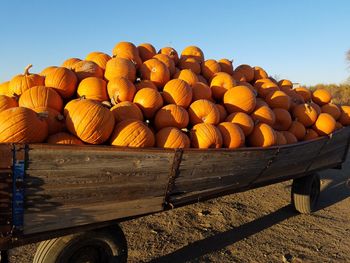 Stack of pumpkins against clear sky
