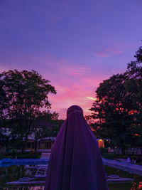 Pink and trees against sky at dusk