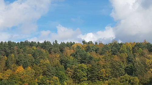 Panoramic view of trees on landscape against sky