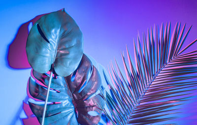 Close-up of leaves against blue background