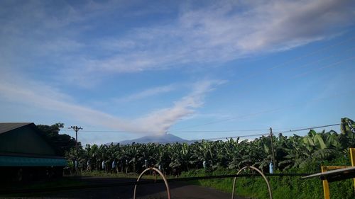 Panoramic view of trees against sky