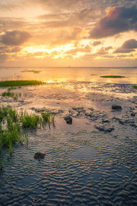 Scenic view of sea against sky during sunset