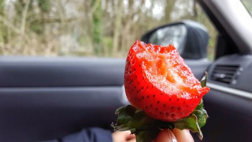 Close-up of red object on white surface