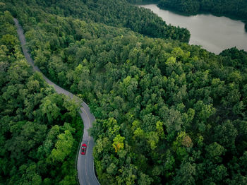 Aerial top view of a red car driving on highway road in green forest. sustainable transport.