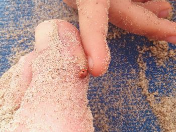 Ladybug moving on sand covered foot and hand