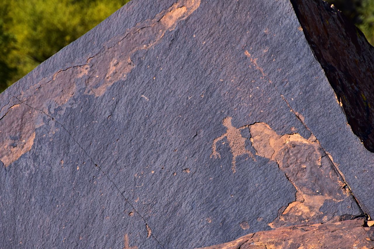 rock, soil, wood, nature, tree, no people, leaf, day, outdoors, textured, close-up, geology, plant, bark, tree trunk, land, trunk, tree stump, rough, landscape, sunlight