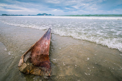 Driftwood at beach