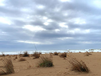 Scenic view of beach against sky