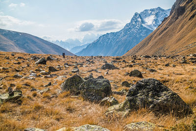 Scenic view of landscape against sky