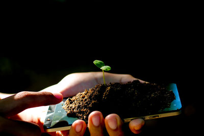 Close-up of hand holding smart phone with plant and soil