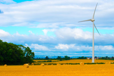 Scenic view of rural landscape