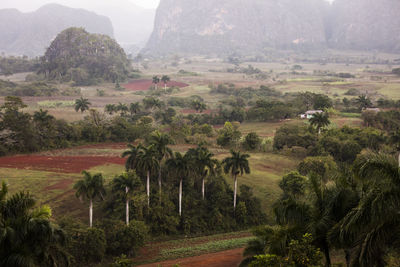 Scenic view of landscape