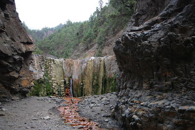 Scenic view of rock formation amidst trees in forest