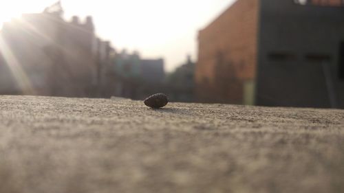 Close-up of ball on wall