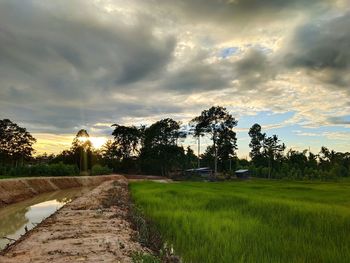 Scenic view of field against sky during sunset