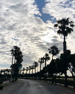 Road by palm trees against sky