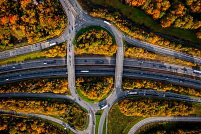 Aerial view above auk motorway with roundabout and overbridge with sunlight and colour tree canopy