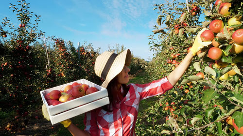 Midsection of woman holding apple