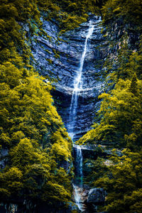 Scenic view of waterfall in forest