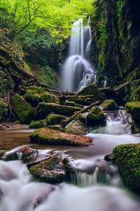 Scenic view of waterfall in forest