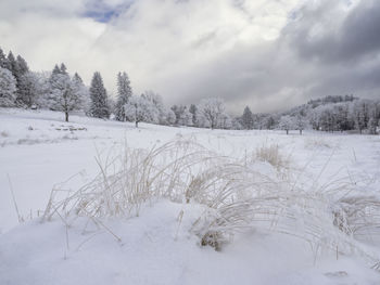 Scenic view of snow covered field against sky