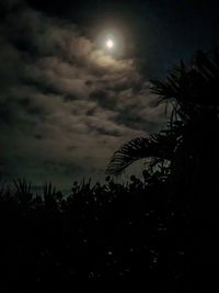 Low angle view of silhouette trees against sky at night