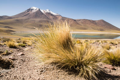 Scenic view of desert against sky