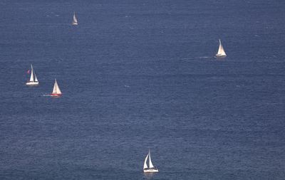 Aerial view of sailboats on sea