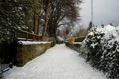 Snow covered footpath amidst trees and buildings during winter