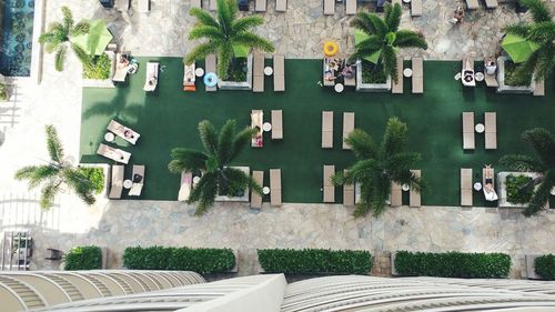 Directly above view of deck chairs