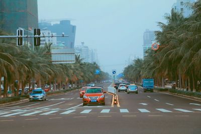 Cars on road against sky in city