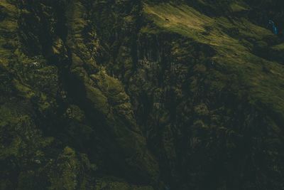 Full frame shot of mountains in forest