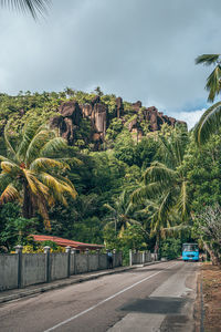 Road by trees and buildings against sky