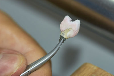 Close-up of hand holding artificial tooth