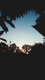 Low angle view of silhouette trees against sky at sunset