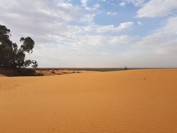 Scenic view of desert against sky