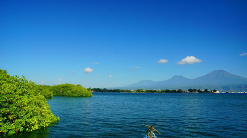 Scenic view of sea against clear blue sky