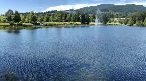 Scenic view of lake by trees against sky