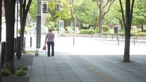 Rear view of a man walking along trees