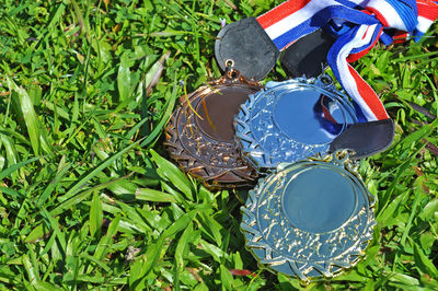 Close-up high angle view of medals on field