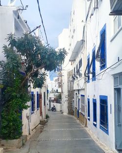Road amidst trees against sky in city