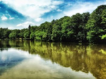 Reflection of trees in lake