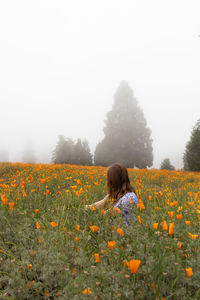 Rear view of woman by flowers on field against sky