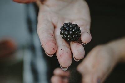 Close-up of hand holding fruit