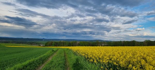 Scenic view of field against cloudy sky