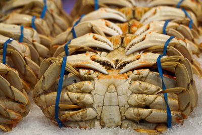 Close-up of fish for sale in market