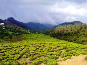 Scenic view of mountains against cloudy sky