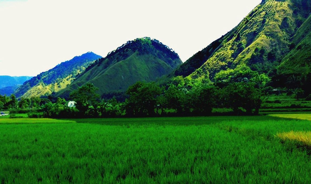 SCENIC VIEW OF MOUNTAINS